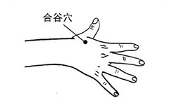 合谷穴 合谷穴