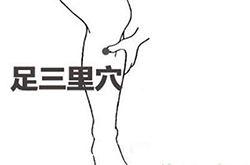 足三里穴