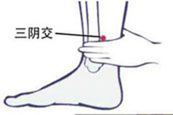 老艾堂春季艾灸